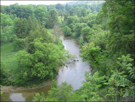 Figure 6. Gomphus quadricolor habitat on the HumberRiver, June 2005