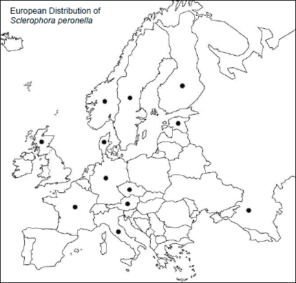 Figure 2. European distribution of Sclerophora peronella.