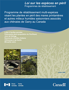 Programme de rétablissement multi-espèces visant les plantes en péril des mares printanières et autres milieux humides saisonniers associés aux chênaies de Garry au Canada