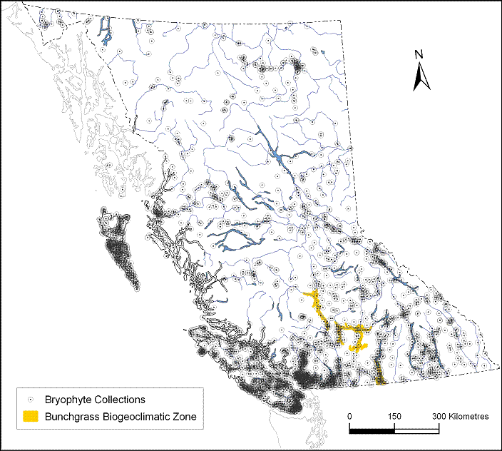 Collecting effort for mosses in British Columbia