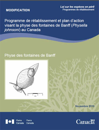 Loi sur les espèces en péril Série de Programmes de rétablissement, Programme de rétablissement et plan daction visant la physe des fontaines de Banff (Physella johnsoni) au Canada (modification, novembre 2010).