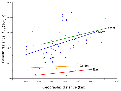 Figure 3. Comparison of the relationship between population pairwise genetic distance (based on FST) and geographic distance among north, west, east and central populations in Eumeces fasciatus based on six microsatellite loci.