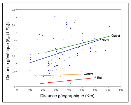 Figure 3. Rapport entre la distance génétique (déterminée à partir de six locus microsatellites) et la distance géographique pour les populations du nord, de l’ouest, de l’est et du centre (comparaison des populations par paires, selon les valeurs FST).