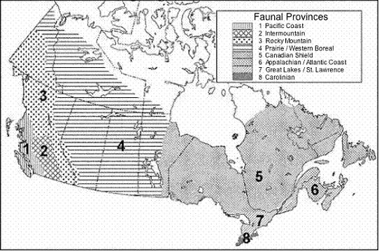 Figure 5. Map of the faunal provinces of terrestrial amphibians, reptiles, and molluscs in Canada(COSEWIC, 2004).