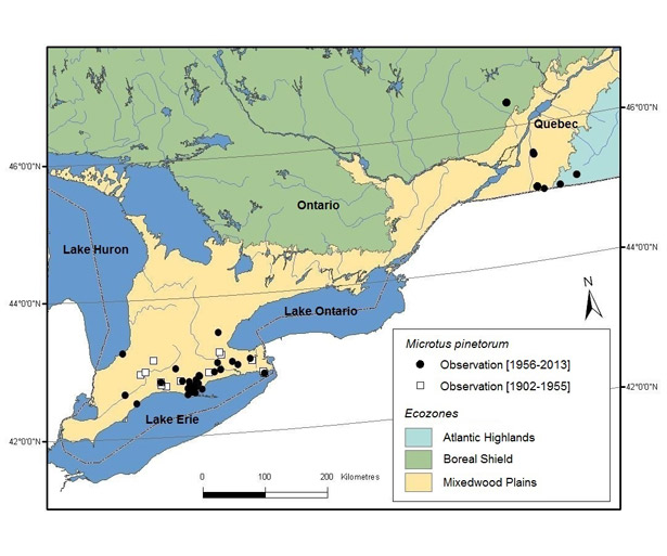 Map showing Observations of the Woodland Vole by Ecozones.