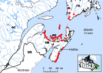Piping Plover melodus subspecies Range Map (See long description below)