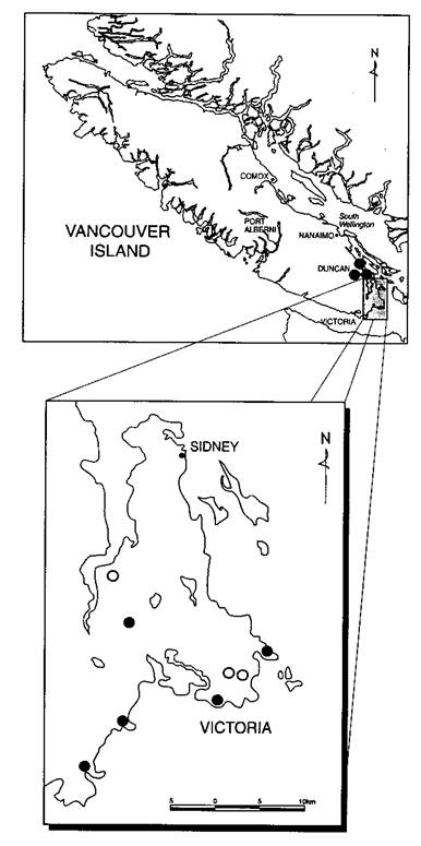 Figure 3.  Distribution of Triteleia howellii in British Columbia(○-extirpated sites, ●-recently confirmed sites).