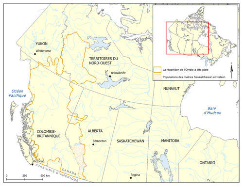 réparation de l’omble à tête plate