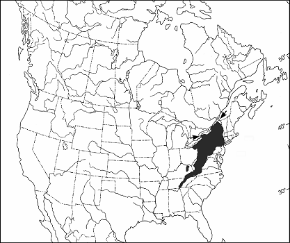 Figure 2 : Répartition mondiale du Desmognathus ochrophaeus.