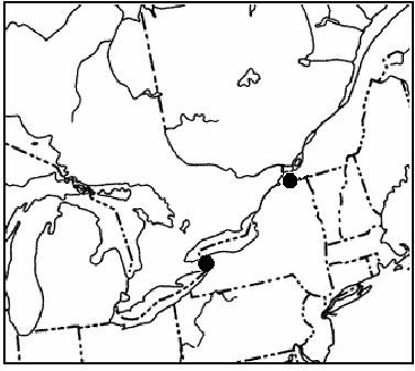 Figure 3: Canadian distribution of Desmognathus ochrophaeus in Niagara area, Ontario and Covey Hill, Quebec.