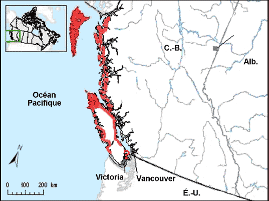 Figure 2. Aire de répartition du Faucon pèlerin pealei au Canada (Colombie-Britannique). Source de la carte : Cooper, 2006 (adaptée du site Web du SCF).