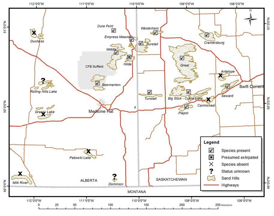 The present distribution of Ord’s Kangaroo  Rats
