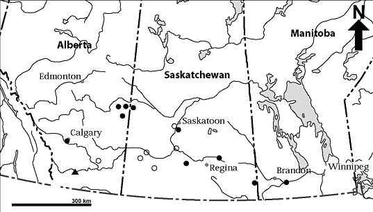 Figure 3. Distribution of Copablepharon grandis in Canada.