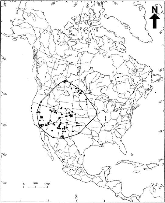 Figure 2. Distribution of Copablepharon grandis in North America. The extent of occurrence is shown with the dark line.