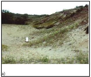 Figure 4a) creux de&nbsp;déflation exposé près d’Artland (Saskatchewan) (1 capture)