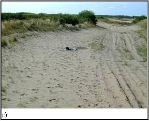 Figure 4c) pare-feu aménagé près de Dundurn (Saskatchewan) (2&nbsp;captures)