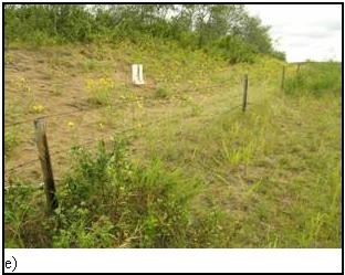 Figure 4e)&nbsp;zone de sable exposée sur un bord de route perturbé à Sounding Lake (Alberta) (1 capture)