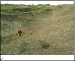 Figure 4f) site soupçonné d’abriter une population de C. grandis dans les Bush Lake Sand Hills, près du mont Table (Saskatchewan) (aucun piégeage n’y a cependant été effectué)
