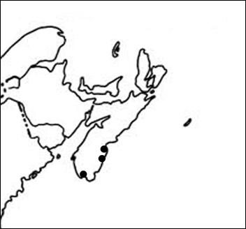 Canadian distribution of Lilaeopsis chinensis