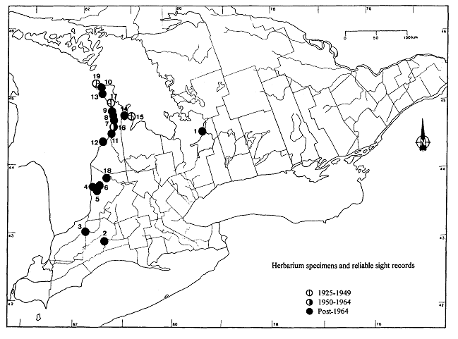 Figure 3.  Canadian (Ontario) distribution of tuberous Indian-plantain.