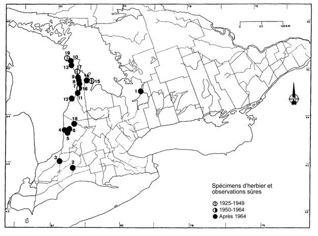 Figure 3. Répartition de l’Arnoglossum plantagineum au Canada (en Ontario).