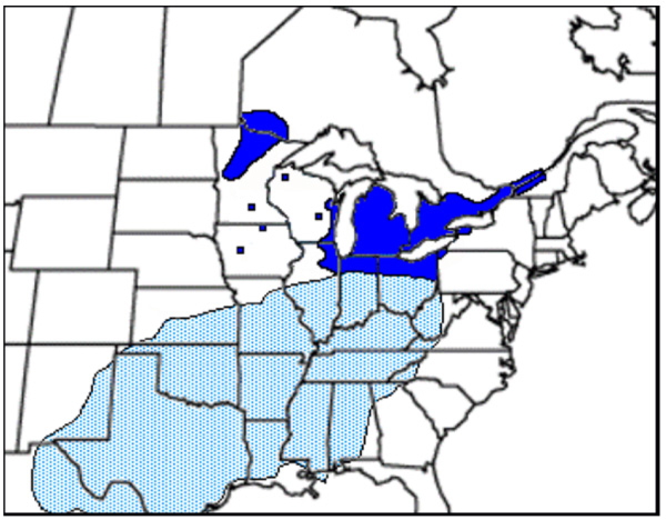Map showing global distribution of Northern Sunfish. (see long description below)