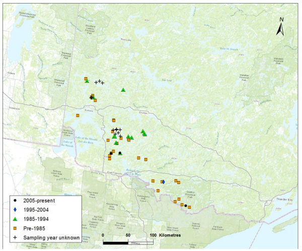Map showing Distribution of Northern Sunfish in northwestern Ontario (Saskatchewan-Nelson DU). Symbols indicate locations and dates of records.. (see long description below)