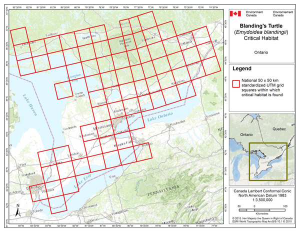 map showing critical habitat for the Blanding's Turtle, Great Lakes / St. Lawrence Population
