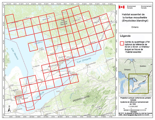 map showing critical habitat for the Blanding's Turtle, Great Lakes / St. Lawrence Population