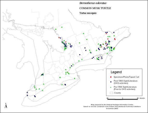 Figure 2.&nbsp; Locations of observations of the stinkpot (Sternotherus odoratus) in Ontario.&nbsp; From Oldham and Weller, 2000.