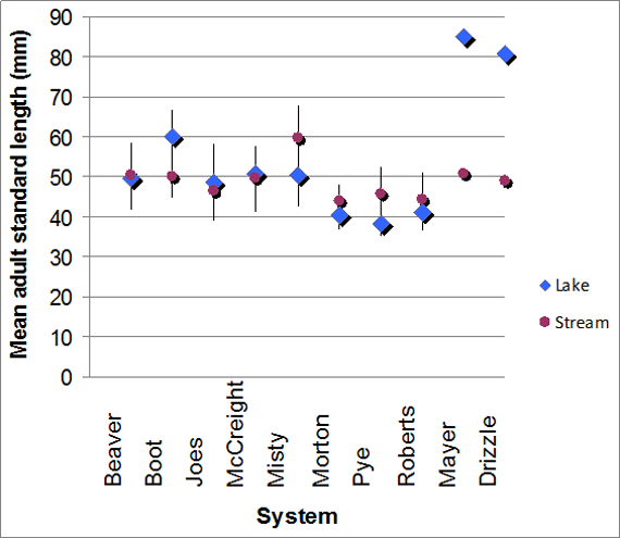 Mean standard length of adult lake-stream pairs of Threespine Stickleback