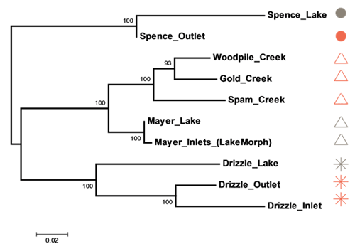 Genetic differentiation of Giant Threespine Stickleback
