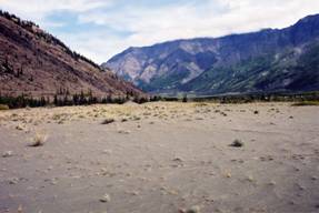 Figure 5: The semi-stabilized dunes near the confluence of the Kaskawulsh and Dezadeash Rivers occur on the former lakebed of Recent Lake Alsek.