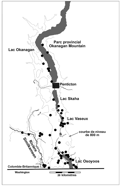 Figure 3. Aire de répartition canadienne du lapin de Nuttall de la sous-espèce nuttallii (Sylvilagus nuttallii nuttallii). Les points représentent les occurrences répertoriées, fondées sur les spécimens historiques de musée et diverses observations (de 1939 à 2002).