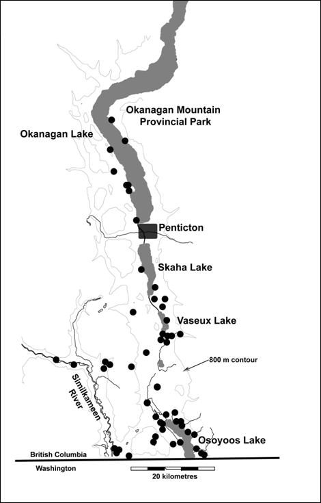 Figure 3. Canadian range of Nuttall’s Cottontail, Nuttall’s subspecies (Sylvilagus nuttallii nuttallii).  Solid circles represent occurrence records based on known historical museum specimens and observations 1939-2002.