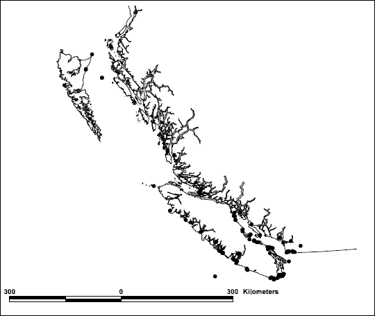 Figure 2. Distribution of sighting, stranding and incidental mortality records of harbour porpoises in British Columbia. Stranding and incidental mortality records were collected through the Stranded Whale and Dolphin Program of British Columbia; sighting records were compiled by the Marine Mammal Research Group, Victoria, B.C. (see references cited in the text). Recording effort is extremely heterogeneous, thus the distribution of records does not necessarily indicate true relative abundance. Map courtesy of Ellen Hines, University of Victoria.