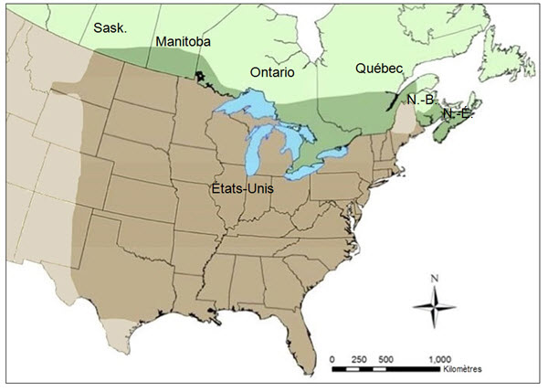 une carte de la répartition de la tortue serpentine au Canada et aux États Unis