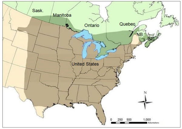 Map of North America showing distribution of the Snappling Turtle