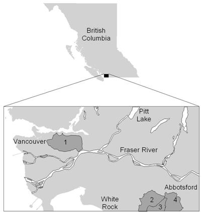 figure 1 : Le naseux de Nooksack est connu pour habiter quatre bassins hydrographiques (carte de gauche; 1- Rivière Brunette, 2 – Ruisseau Bertrand, 3 – Ruisseau Pepin, 4 – Ruisseau Fishtrap)