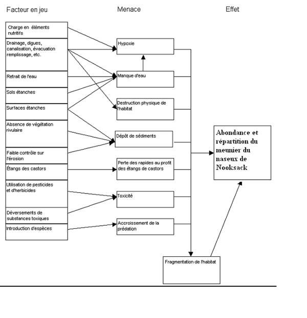 Figure 3&nbsp;: Les facteurs connus ou qu’on soupçonne de conditionner ou de favoriser les menaces au naseux de Nooksack (de Pearson, 2004b)