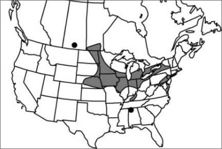 Global Small White Lady’s-slipper distribution