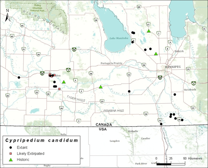 Map of Manitoba Small White Lady’s-slipper subpopulations