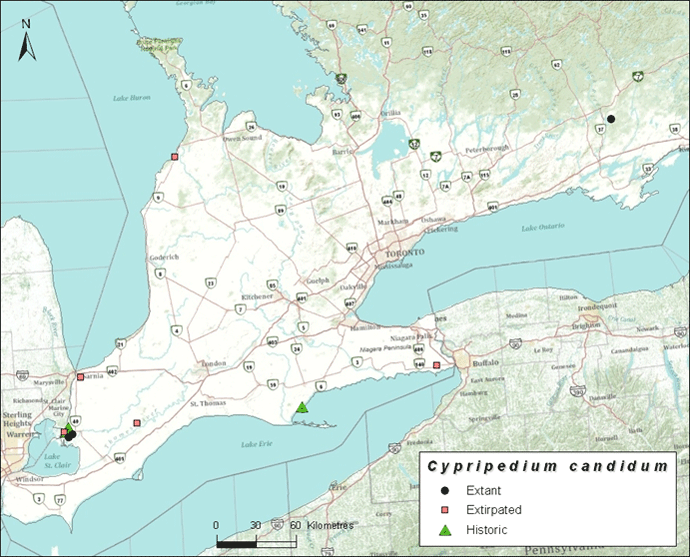 Map of Ontario Small White Lady’s-slipper subpopulations