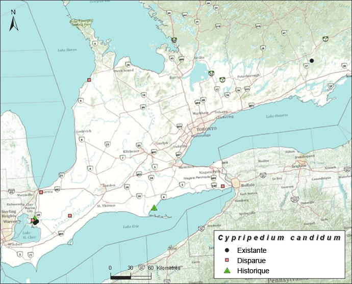 Carte des Emplacement général et situation des sous-populations de cypripède blanc en Ontario