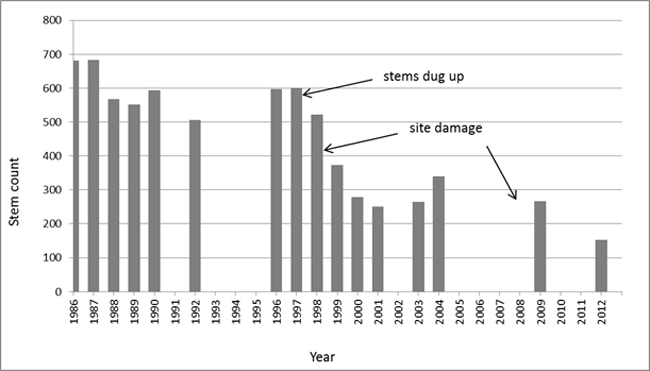Graph of Kleefeld, Manitoba Small White Lady’s-slipper stem counts