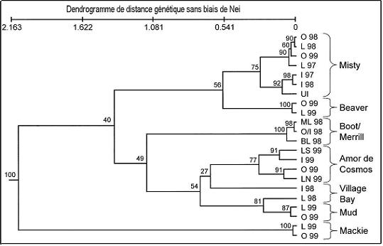 Figure 3. Dendrogramme de distance génétique sans biais de Nei (1978) montrant les liens généraux entre les épinoches du lac Misty qui occupent des habitats différents ainsi qu’entre les épinoches du lac Misty et des paires de formes lentique et lotique occupant d’autres bassins.