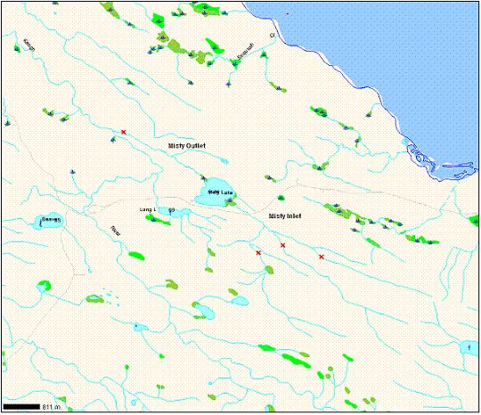 Figure 6.  Known upper and lower limits of the Misty Lake lake-stream stickleback distribution (Moore, pers. comm.; Hendry, pers. comm. 2005, 2006).