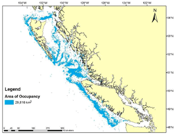 Distribution of Bocaccio based on survey and commercial observations