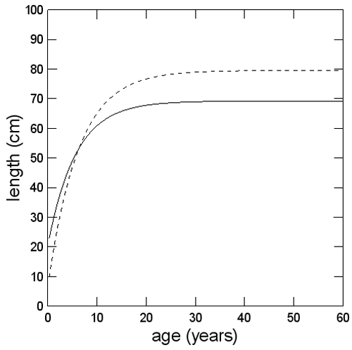 Estimated length at age of male and female Bocaccio in BC waters