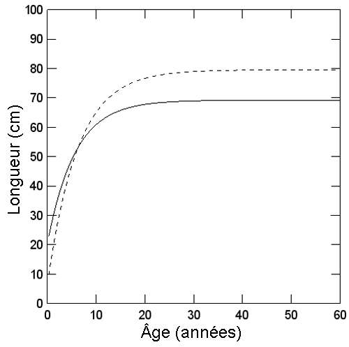 Valeurs estimées de la longueur en fonction de l’âge des bocaccios